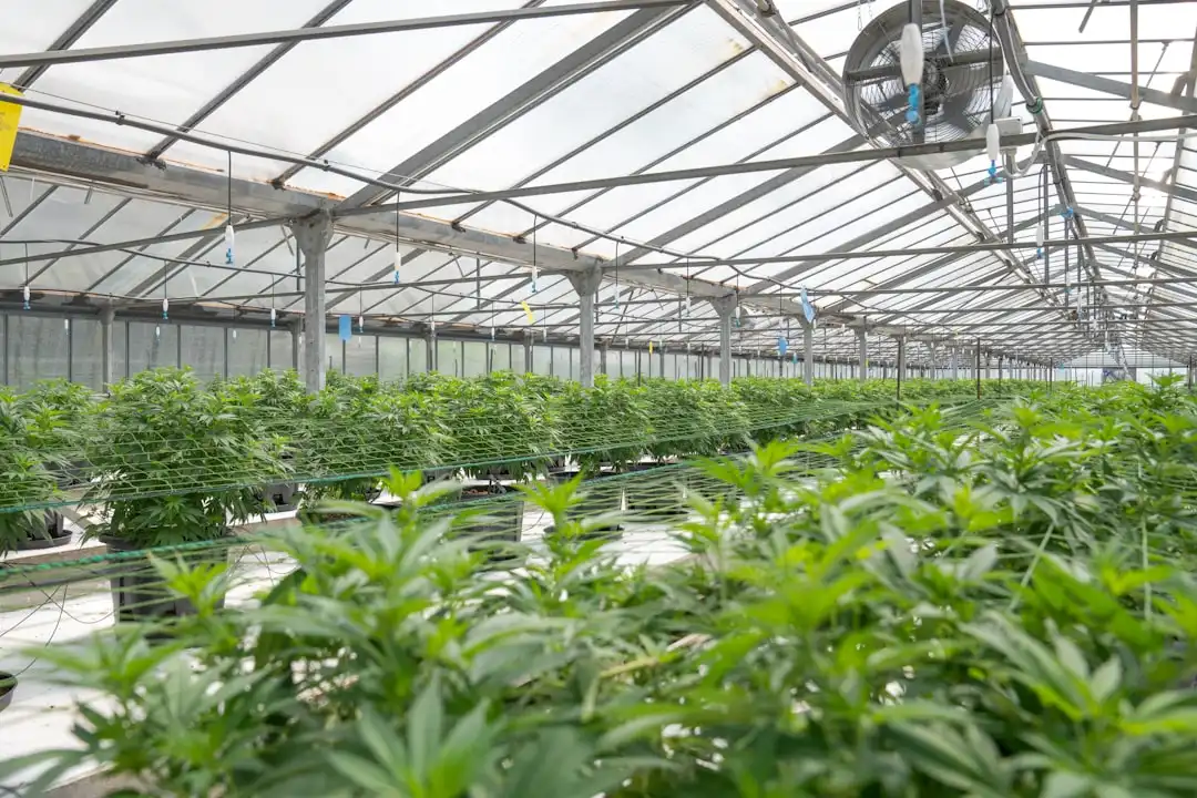 基于高精度电能表的工业企业能源管理方案设计