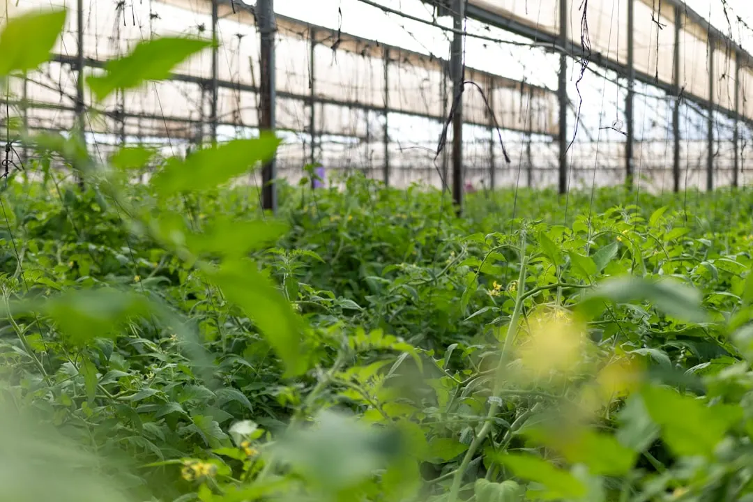 智能电表高精度计量技术在工业用电管理中的应用实践